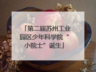 第二届苏州工业园区少年科学院“小院士”诞生