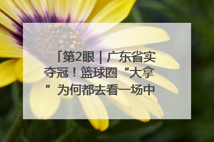 第2眼｜广东省实夺冠！篮球圈“大拿”为何都去看一场中学生比赛？