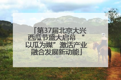 第37届北京大兴西瓜节盛大启幕 “以瓜为媒”激活产业融合发展新动能