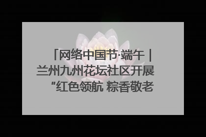 网络中国节·端午｜兰州九州花坛社区开展“红色领航 粽香敬老”端午主题活动