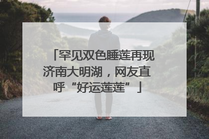 罕见双色睡莲再现济南大明湖，网友直呼“好运莲莲”