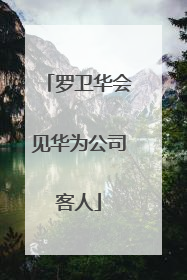 罗卫华会见华为公司客人