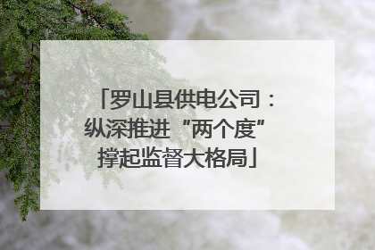 罗山县供电公司：纵深推进“两个度” 撑起监督大格局