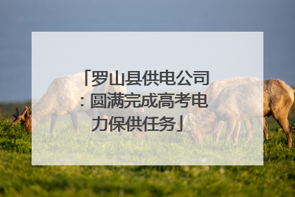 罗山县供电公司：圆满完成高考电力保供任务