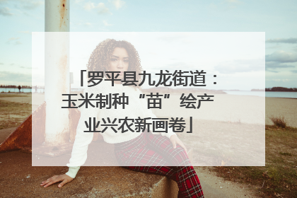 罗平县九龙街道：玉米制种“苗”绘产业兴农新画卷
