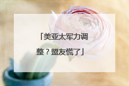 美亚太军力调整？盟友慌了