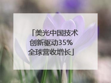 美光中国技术创新驱动35%全球营收增长