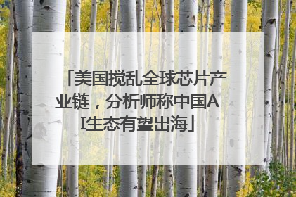 美国搅乱全球芯片产业链，分析师称中国AI生态有望出海