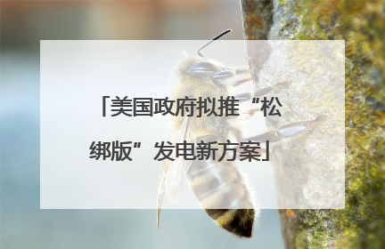 美国政府拟推“松绑版”发电新方案