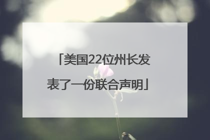 美国22位州长发表了一份联合声明