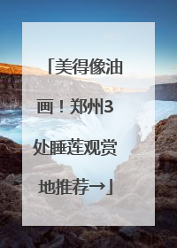 美得像油画！郑州3处睡莲观赏地推荐→