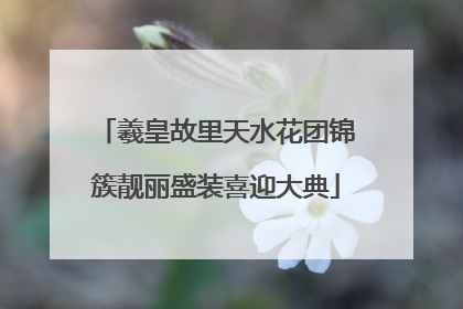 羲皇故里天水花团锦簇靓丽盛装喜迎大典