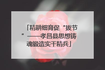 精耕细育促“拔节”——孝昌县思想铸魂锻造实干精兵
