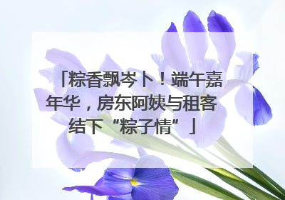 粽香飘岑卜！端午嘉年华，房东阿姨与租客结下“粽子情”