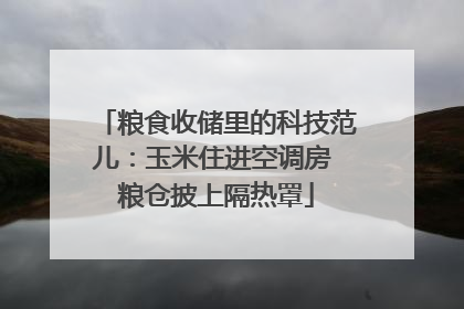 粮食收储里的科技范儿：玉米住进空调房 粮仓披上隔热罩