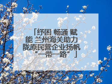 纾困 畅通 赋能 兰州海关助力陇原民营企业扬帆“一带一路”