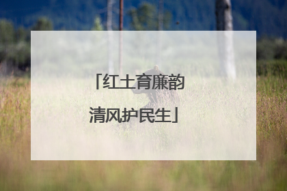 红土育廉韵 清风护民生