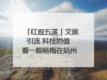 红观五溪｜文旅引流 科技增值 看一颗杨梅在靖州的“商业觉醒”