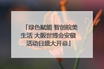 绿色赋能 智创皖美生活 大阪世博会安徽活动日盛大开幕