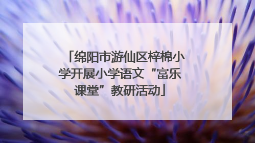 绵阳市游仙区梓棉小学开展小学语文“富乐课堂”教研活动