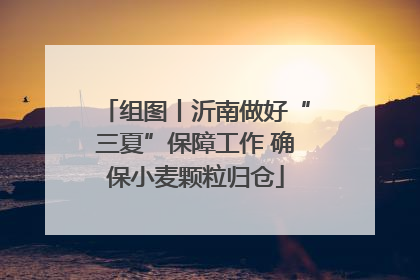 组图丨沂南做好“三夏”保障工作 确保小麦颗粒归仓