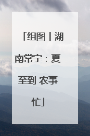 组图丨湖南常宁：夏至到 农事忙