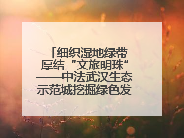 细织湿地绿带 厚结“文旅明珠”——中法武汉生态示范城挖掘绿色发展新动能