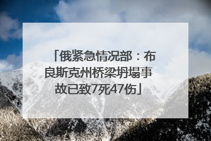 俄紧急情况部：布良斯克州桥梁坍塌事故已致7死47伤