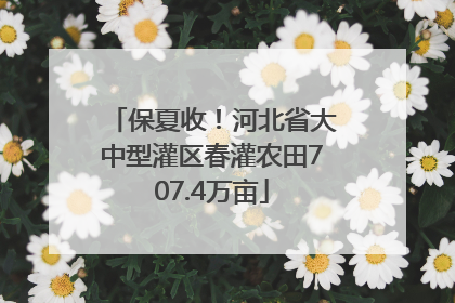 保夏收！河北省大中型灌区春灌农田707.4万亩