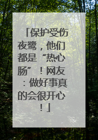 保护受伤夜鹭，他们都是“热心肠”！网友：做好事真的会很开心！