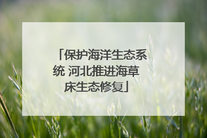 保护海洋生态系统 河北推进海草床生态修复
