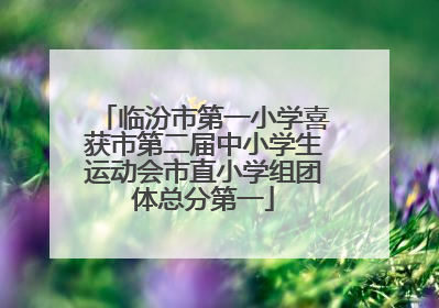 临汾市第一小学喜获市第二届中小学生运动会市直小学组团体总分第一
