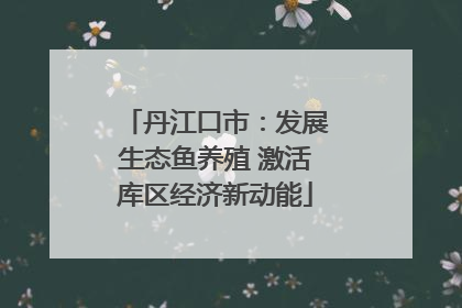 丹江口市：发展生态鱼养殖 激活库区经济新动能