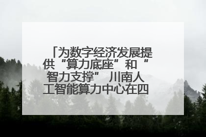 为数字经济发展提供“算力底座”和“智力支撑” 川南人工智能算力中心在四川泸州启动