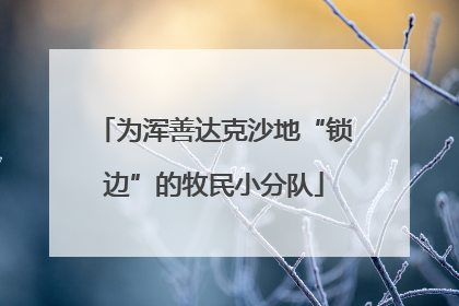 为浑善达克沙地“锁边”的牧民小分队