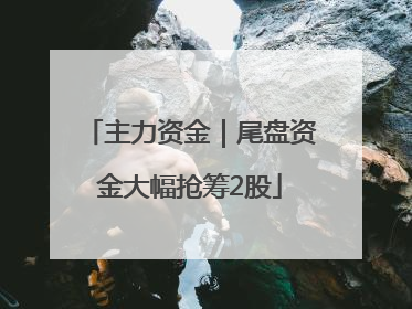主力资金｜尾盘资金大幅抢筹2股
