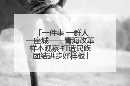 一件事 一群人 一座城——青海改革样本观察·打造民族团结进步好样板