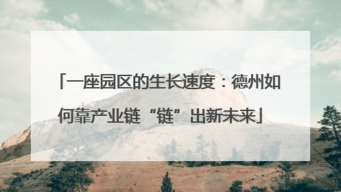 一座园区的生长速度：德州如何靠产业链“链”出新未来