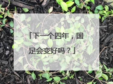 下一个四年，国足会变好吗？