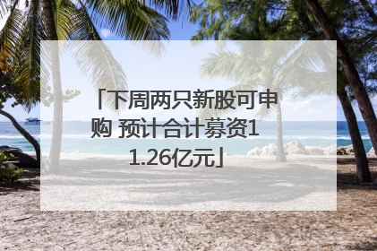 下周两只新股可申购 预计合计募资11.26亿元