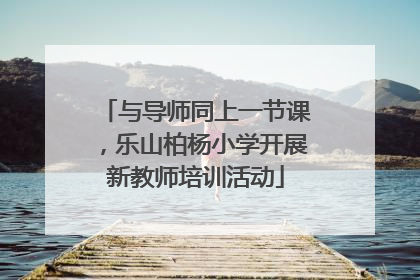与导师同上一节课，乐山柏杨小学开展新教师培训活动