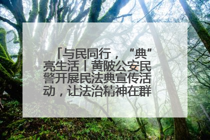 与民同行，“典”亮生活丨黄陂公安民警开展民法典宣传活动，让法治精神在群众心中落地生根