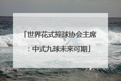 世界花式撞球协会主席：中式九球未来可期