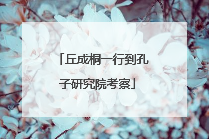 丘成桐一行到孔子研究院考察