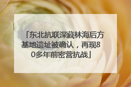 东北抗联深藏林海后方基地遗址被确认，再现80多年前密营抗战