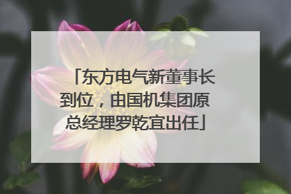 东方电气新董事长到位，由国机集团原总经理罗乾宜出任