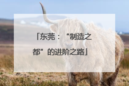 东莞：“制造之都”的进阶之路