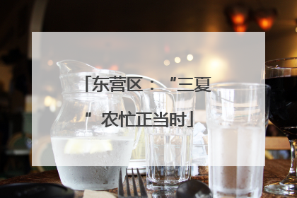 东营区：“三夏”农忙正当时