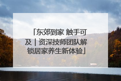 东郊到家 触手可及｜资深技师团队解锁居家养生新体验