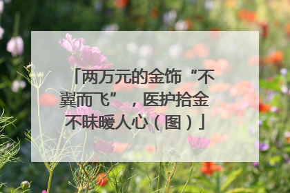 两万元的金饰“不翼而飞”，医护拾金不昧暖人心（图）